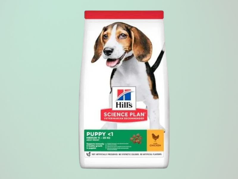 Hrana za štence Hill’s Science Plan Puppy na zelenoj pozadini