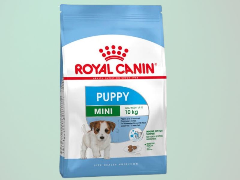Royal Canin Mini Puppy hrana za pse na zelenoj pozadini