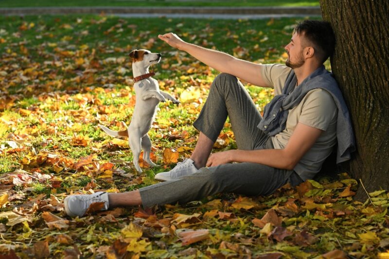 momak se igra sa jack russell terijerom u parku